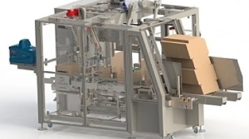 Case Packer Machine | Case Packing Systems